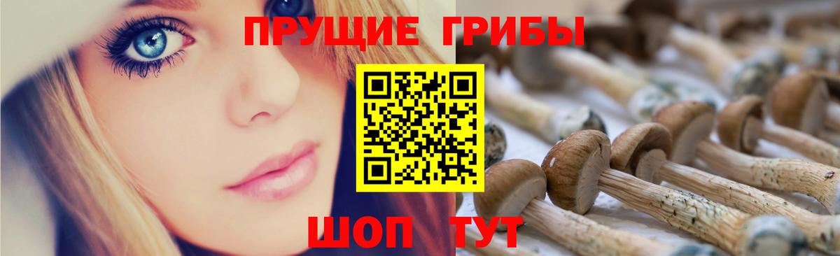 Псилоцибиновые грибы Magic Shrooms  Вход с VPN  Псилоцибиновые грибы ЛСД  Сергиев Посад 